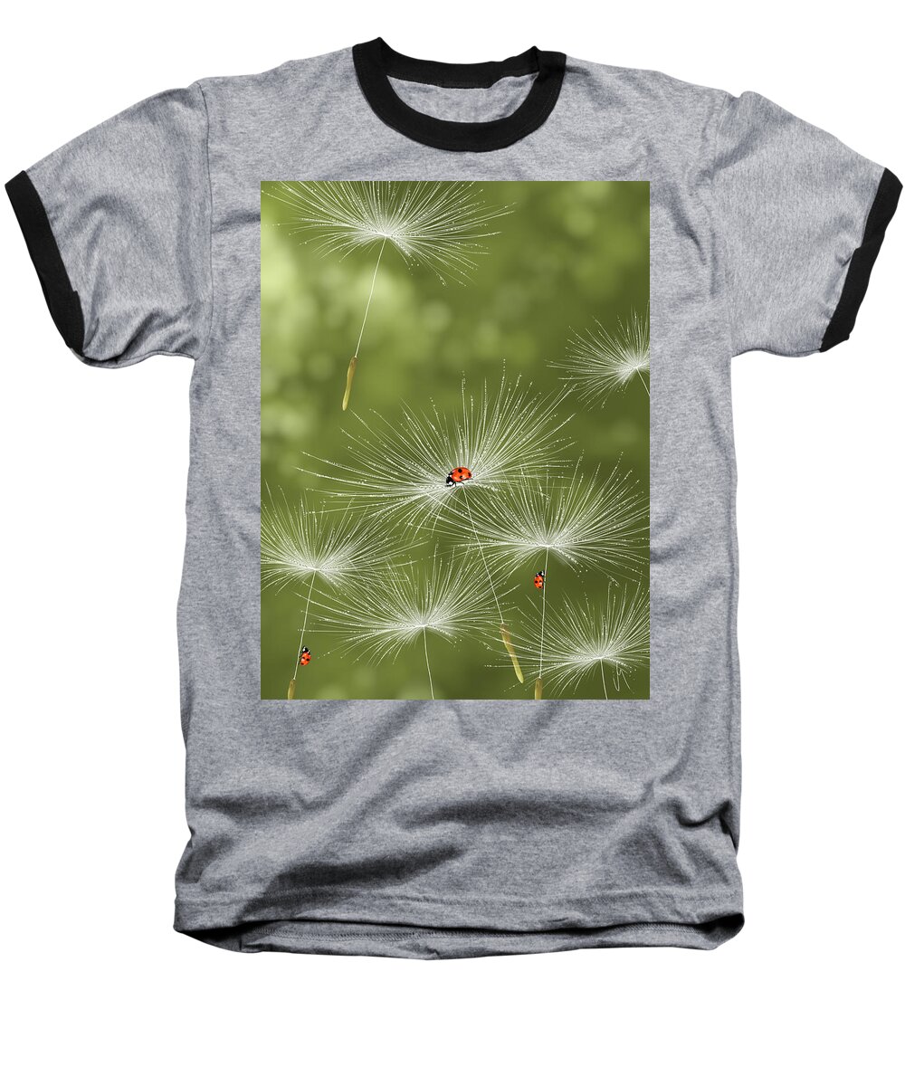 Spring Baseball T-Shirt featuring the painting Ladybug by Veronica Minozzi