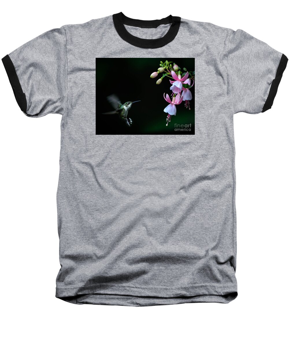 Hummingbird Baseball T-Shirt featuring the photograph Last Light by Amy Porter