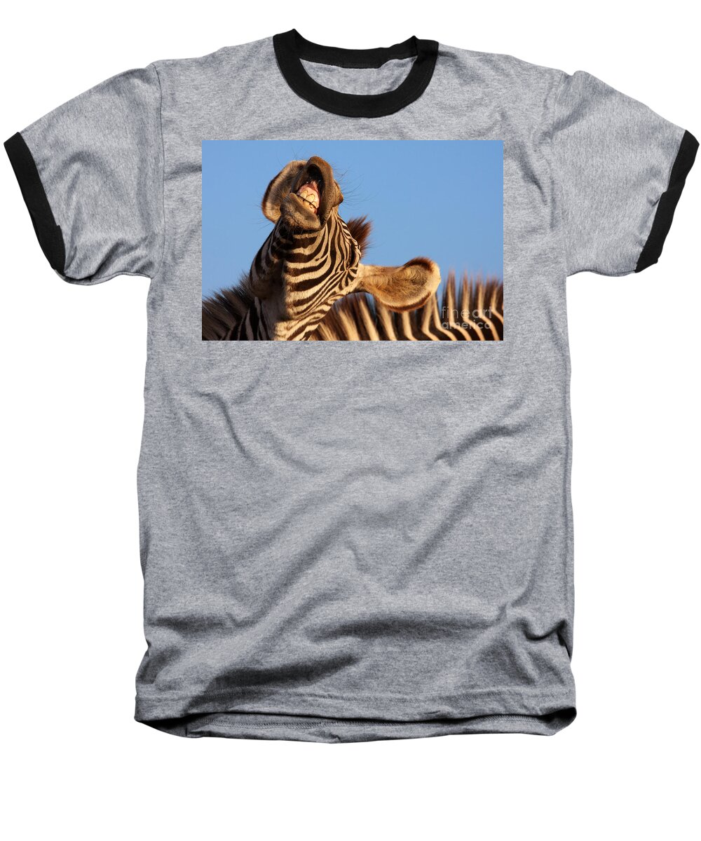 Portrait Baseball T-Shirt featuring the photograph Laughing zebra by Nick Biemans
