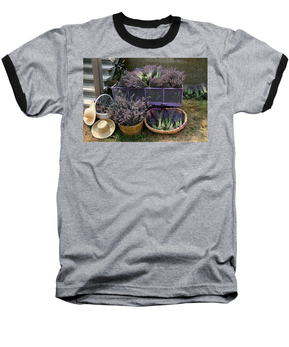 Lavender Baseball T-Shirt featuring the mixed media Lavender Harvest by Alicia Kent