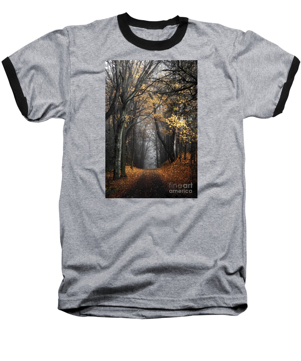 Trail Baseball T-Shirt featuring the photograph Leaf Light by Barbara McMahon