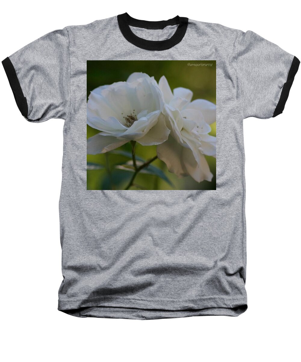 Flowers Baseball T-Shirt featuring the photograph Lean On Me White Roses in Anna's Gardens by Anna Porter
