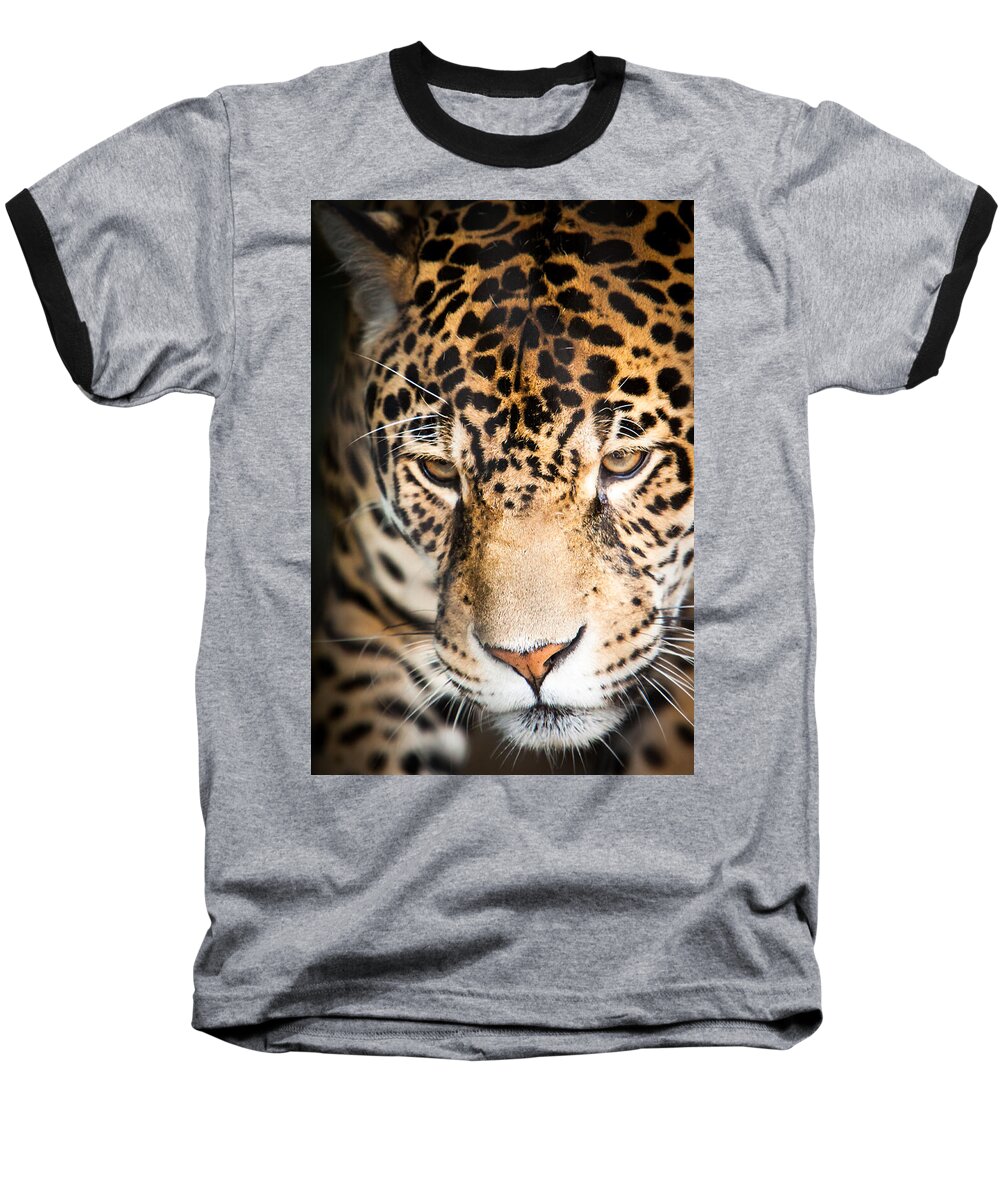 Animal Baseball T-Shirt featuring the photograph Leopard resting by John Wadleigh