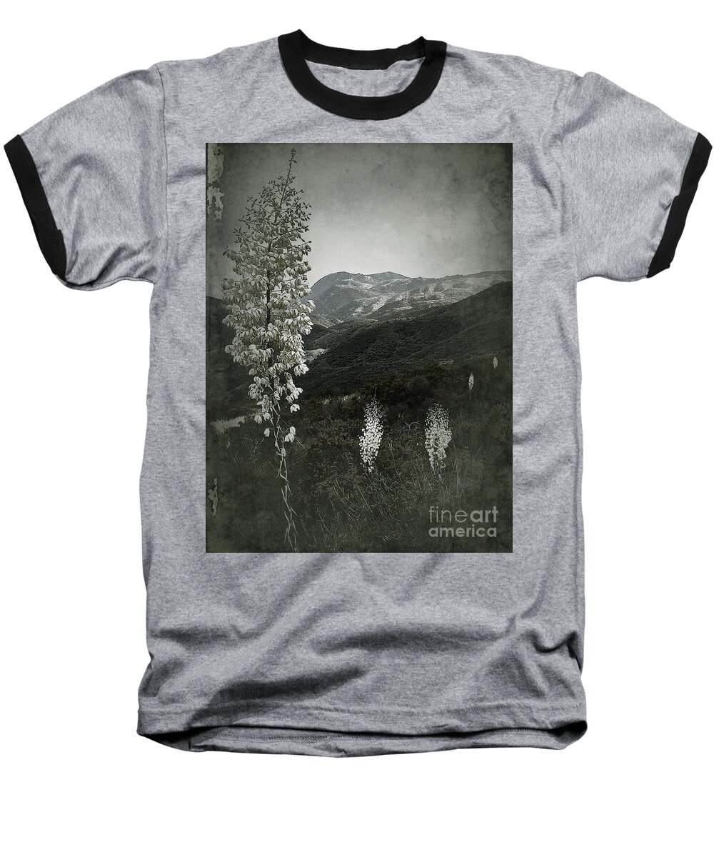Wildflowers Baseball T-Shirt featuring the photograph Lighting the Way by Parrish Todd