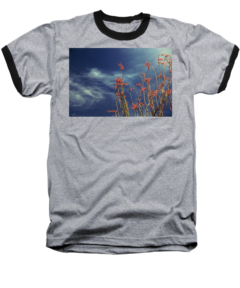 Joshua Tree National Park Baseball T-Shirt featuring the photograph Like Flying Amongst the Clouds by Laurie Search