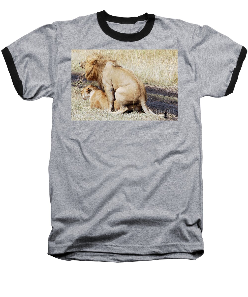 Lion Baseball T-Shirt featuring the digital art Lions Mating by Pravine Chester