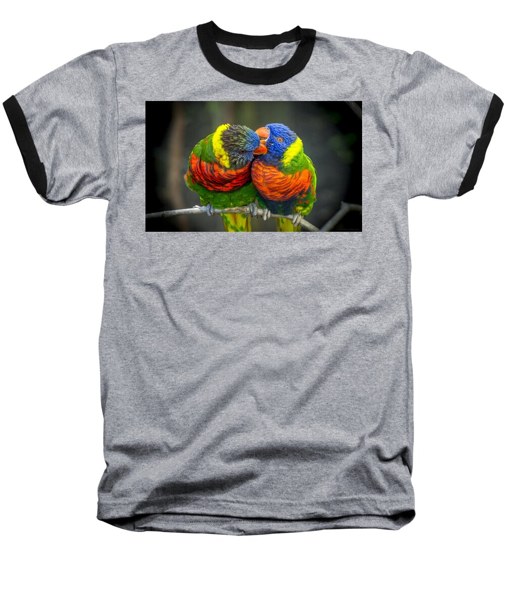 Rainbow Lorikeets Baseball T-Shirt featuring the photograph Listen by Phil Abrams