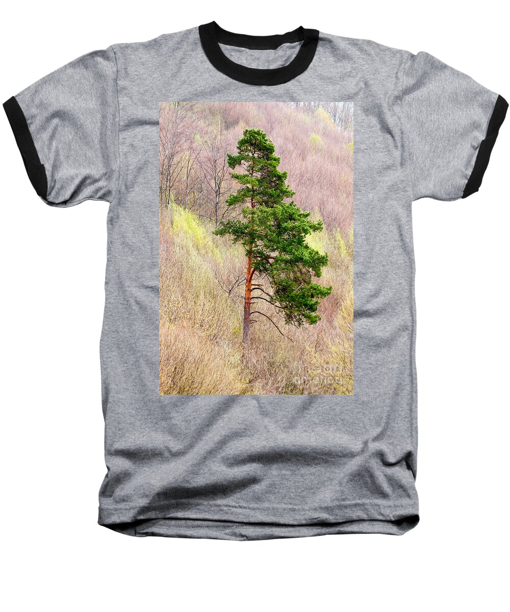 Pine Baseball T-Shirt featuring the photograph Lone Pine by Les Palenik