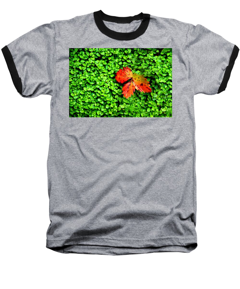 Leaf Baseball T-Shirt featuring the photograph Lonely Leaf by Norma Brock