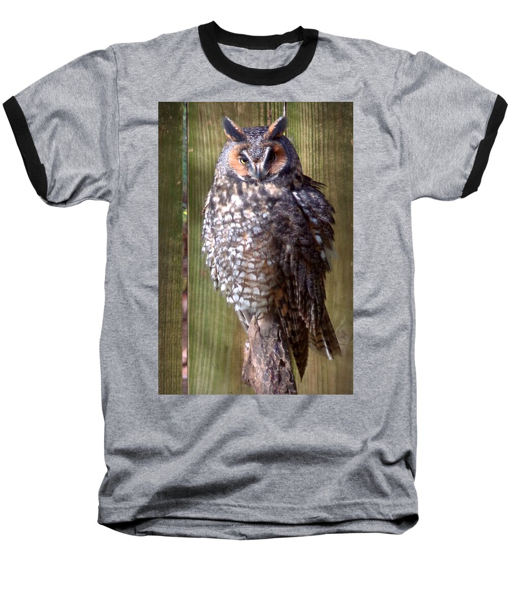 Skompski Baseball T-Shirt featuring the photograph Long Eared Owl by Joseph Skompski