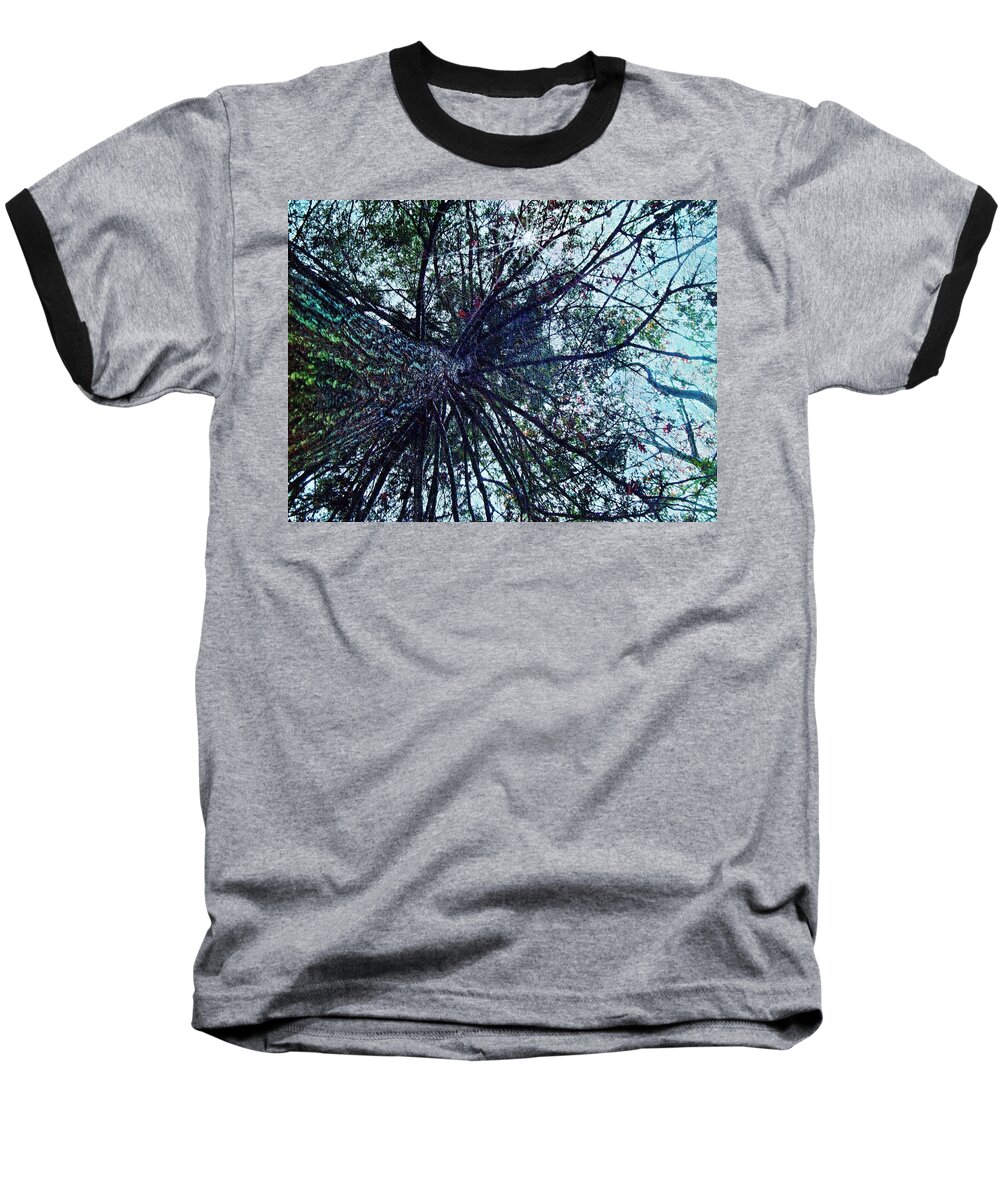 Look Up Through The Trees Baseball T-Shirt featuring the photograph Look Up Through The Trees by Joy Nichols