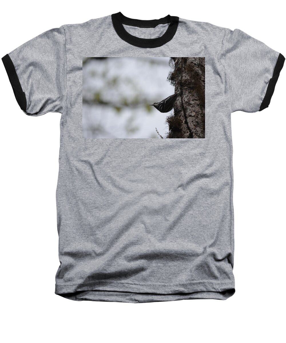 Nature Baseball T-Shirt featuring the photograph Looking Ahead by James Petersen