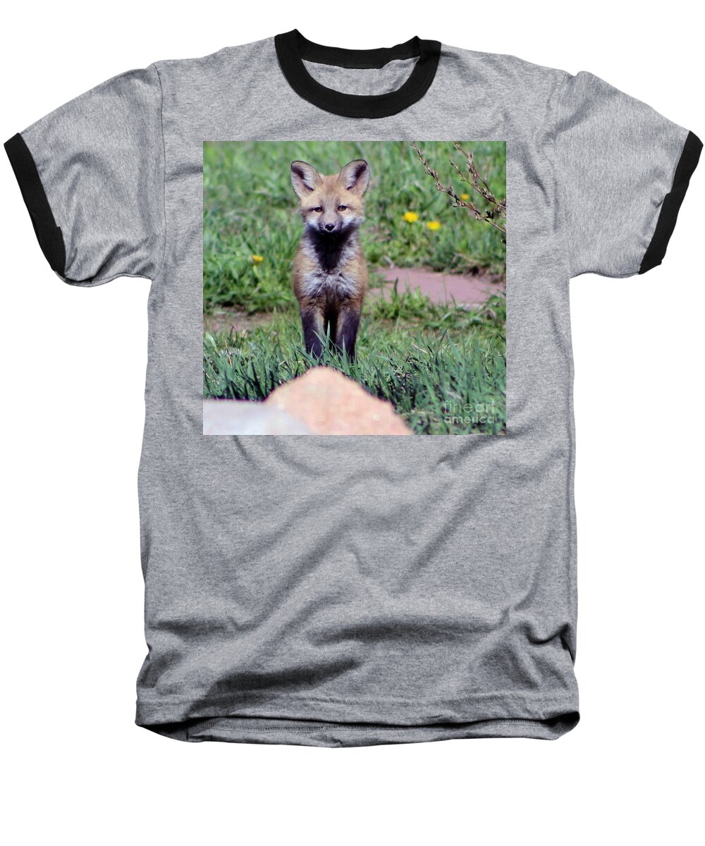 Baby Fox Baseball T-Shirt featuring the photograph Take Me Home by Fiona Kennard