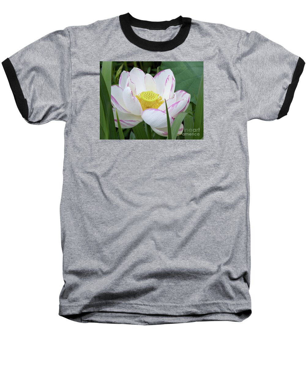 Lotus Baseball T-Shirt featuring the photograph Lotus by Ann Horn