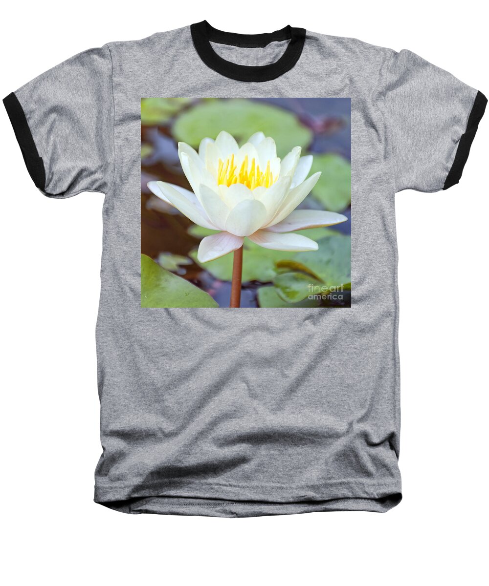 Lotus Baseball T-Shirt featuring the photograph Lotus flower 02 by Antony McAulay