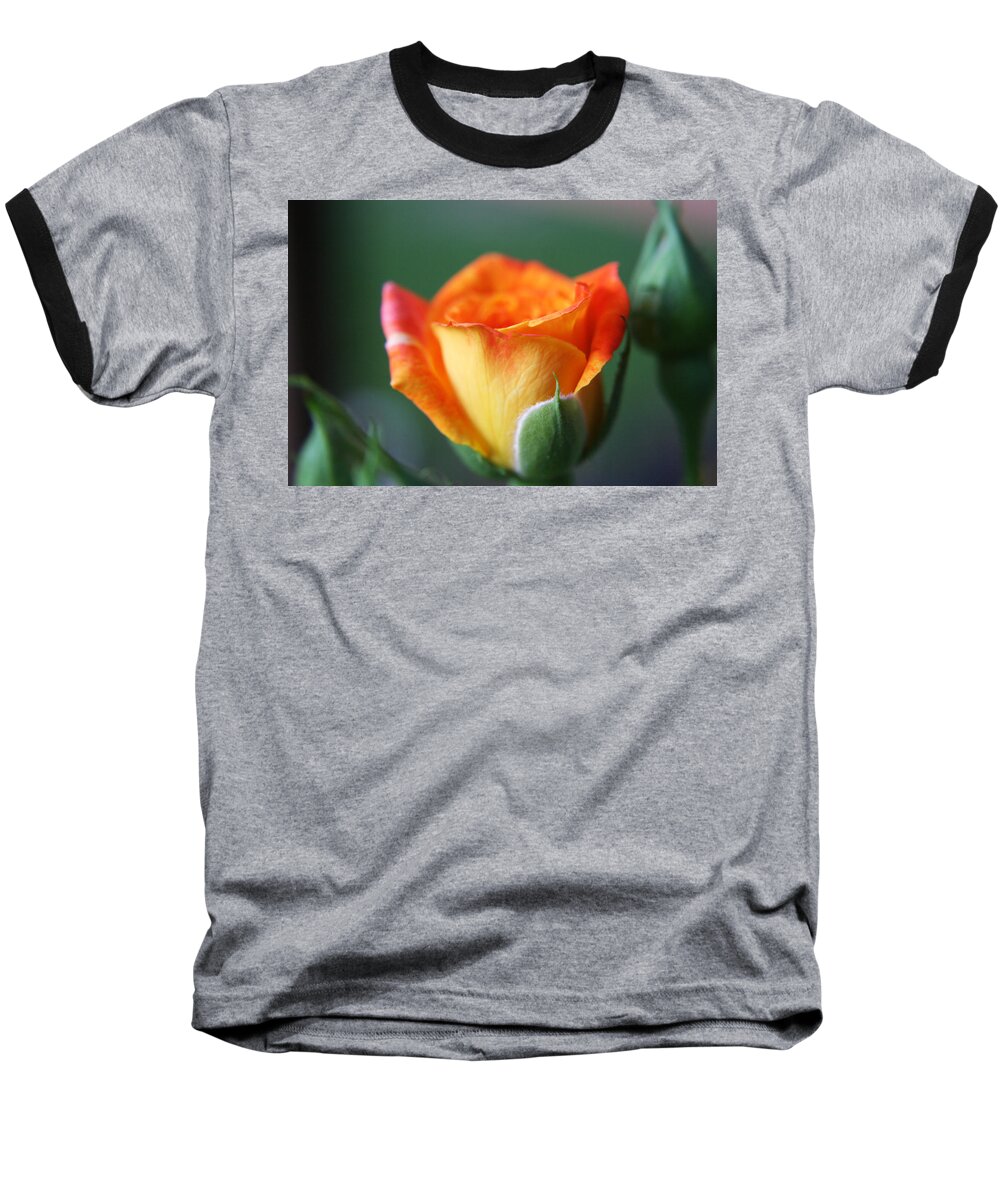 Rose Baseball T-Shirt featuring the photograph Louisiana Orange Rose by Ester McGuire