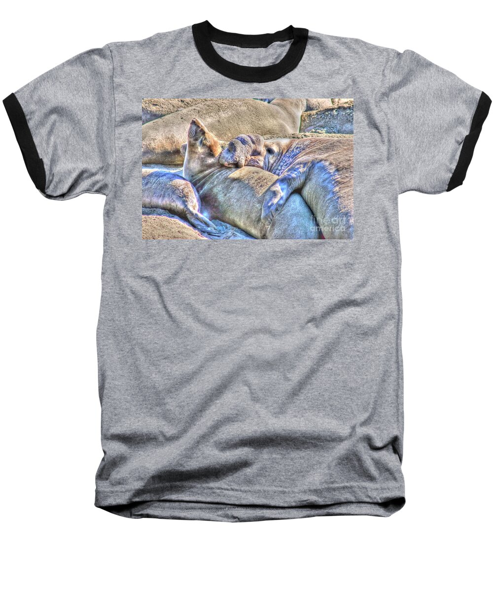 Elephant Seals Baseball T-Shirt featuring the photograph Love Hug - San Simeon California by Tap On Photo