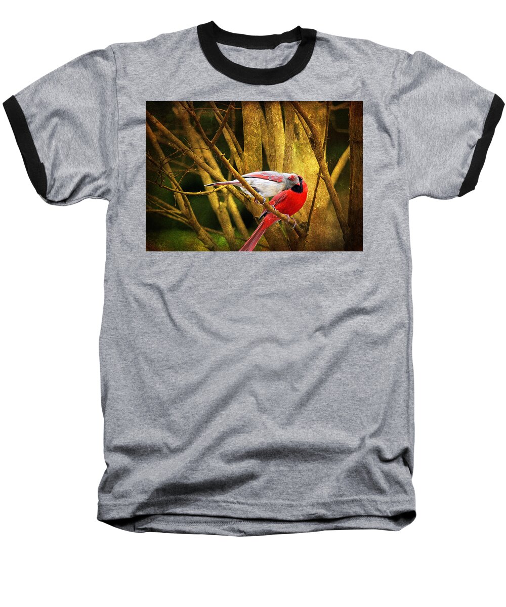 Cardinals Baseball T-Shirt featuring the photograph Love In a Dark World by Trina Ansel