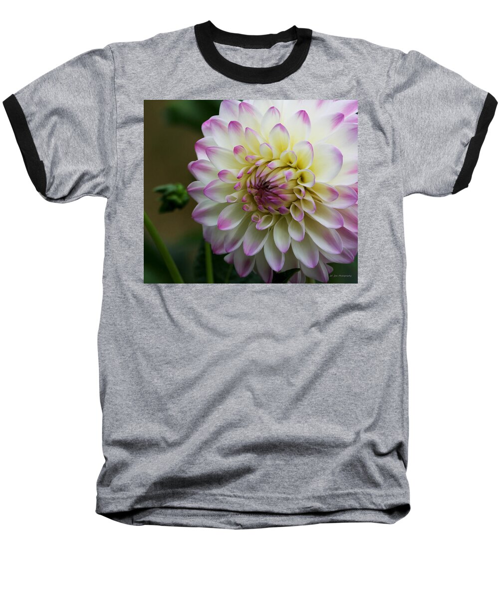 Dahlia Baseball T-Shirt featuring the photograph Loving You by Jeanette C Landstrom