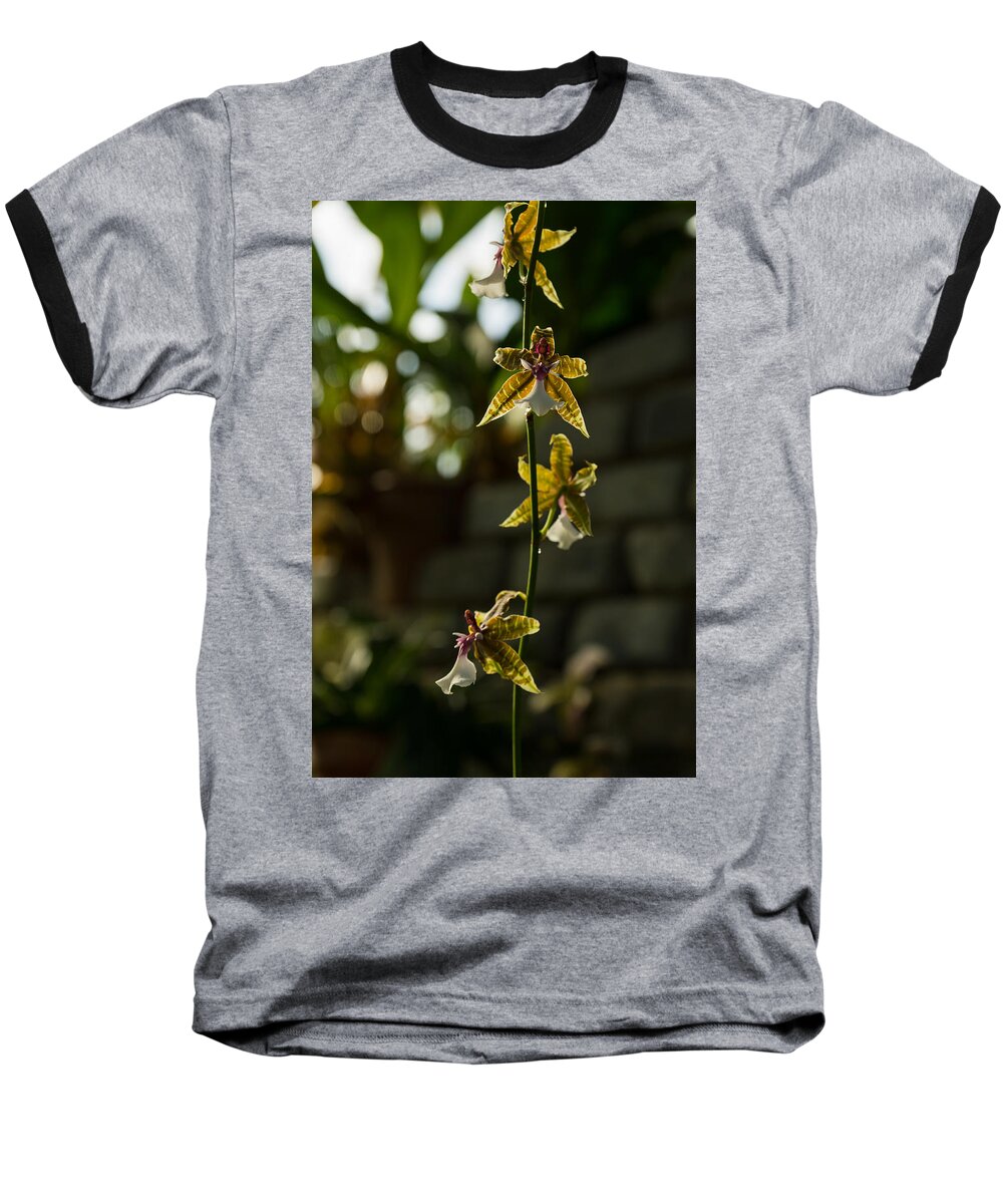Luminous Baseball T-Shirt featuring the photograph Luminous Chain of Orchids by Georgia Mizuleva
