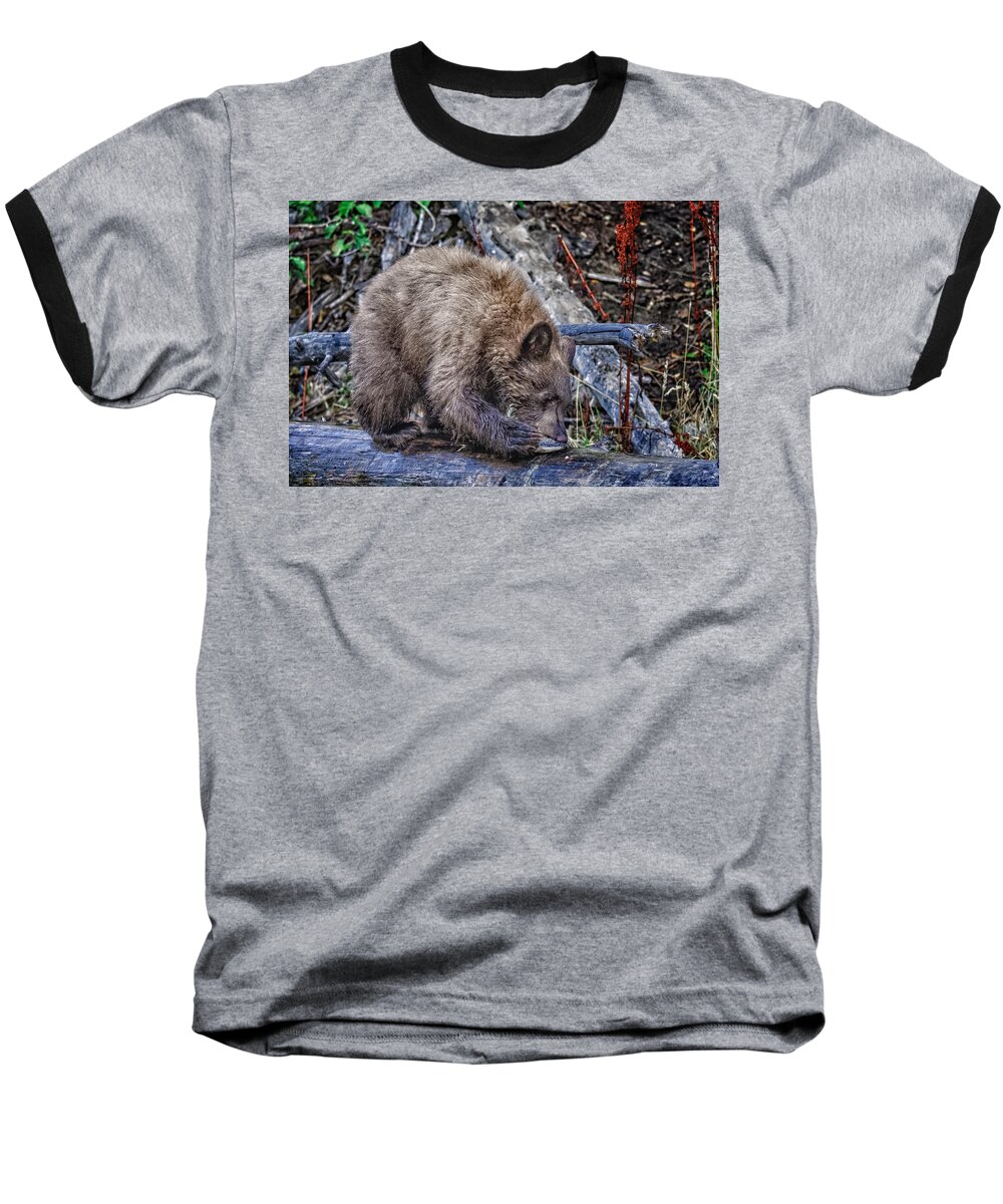 Wildlife Baseball T-Shirt featuring the photograph Lunch Break by Jim Thompson