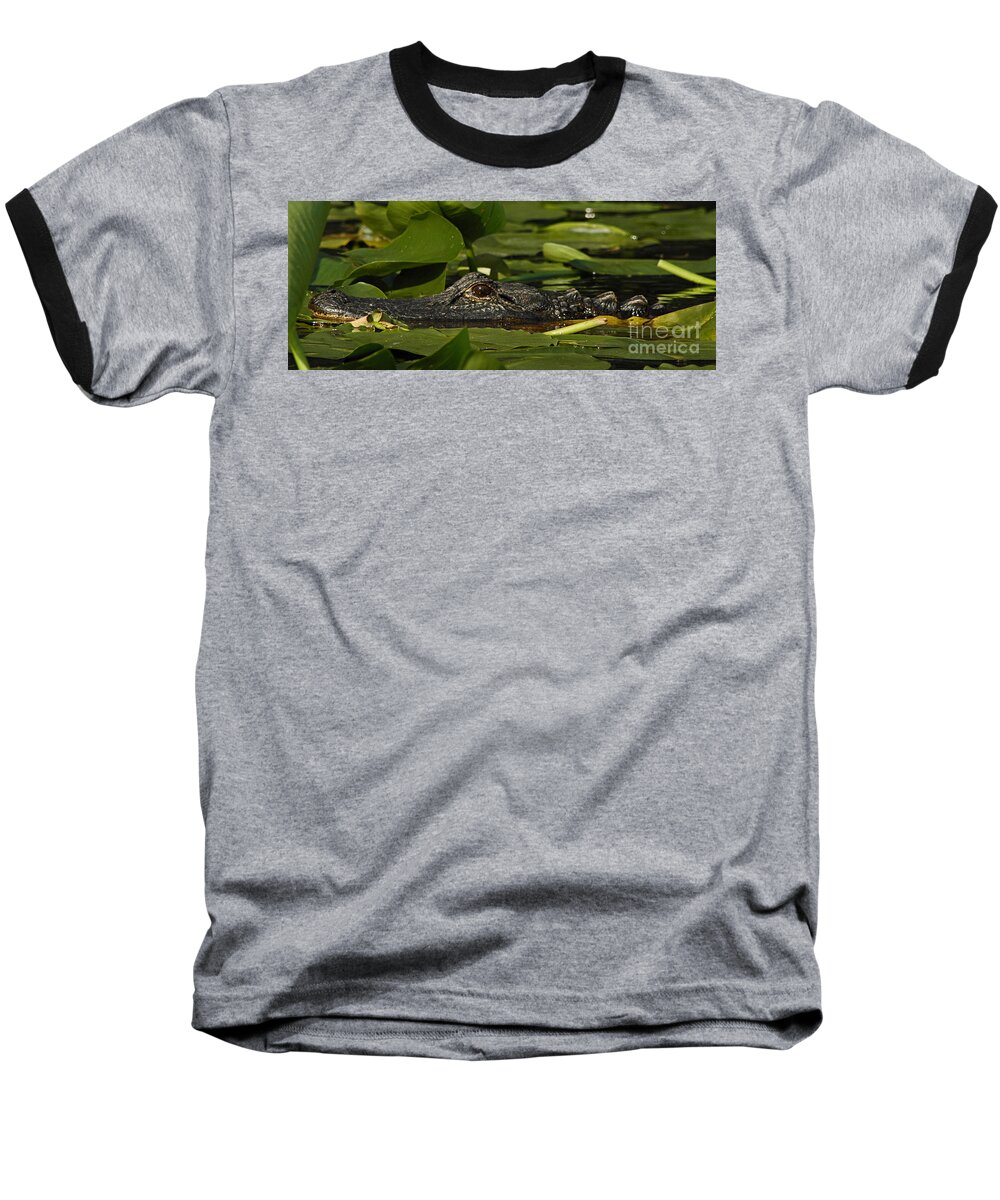 Alligator Baseball T-Shirt featuring the photograph Lying in Wait by Vivian Christopher