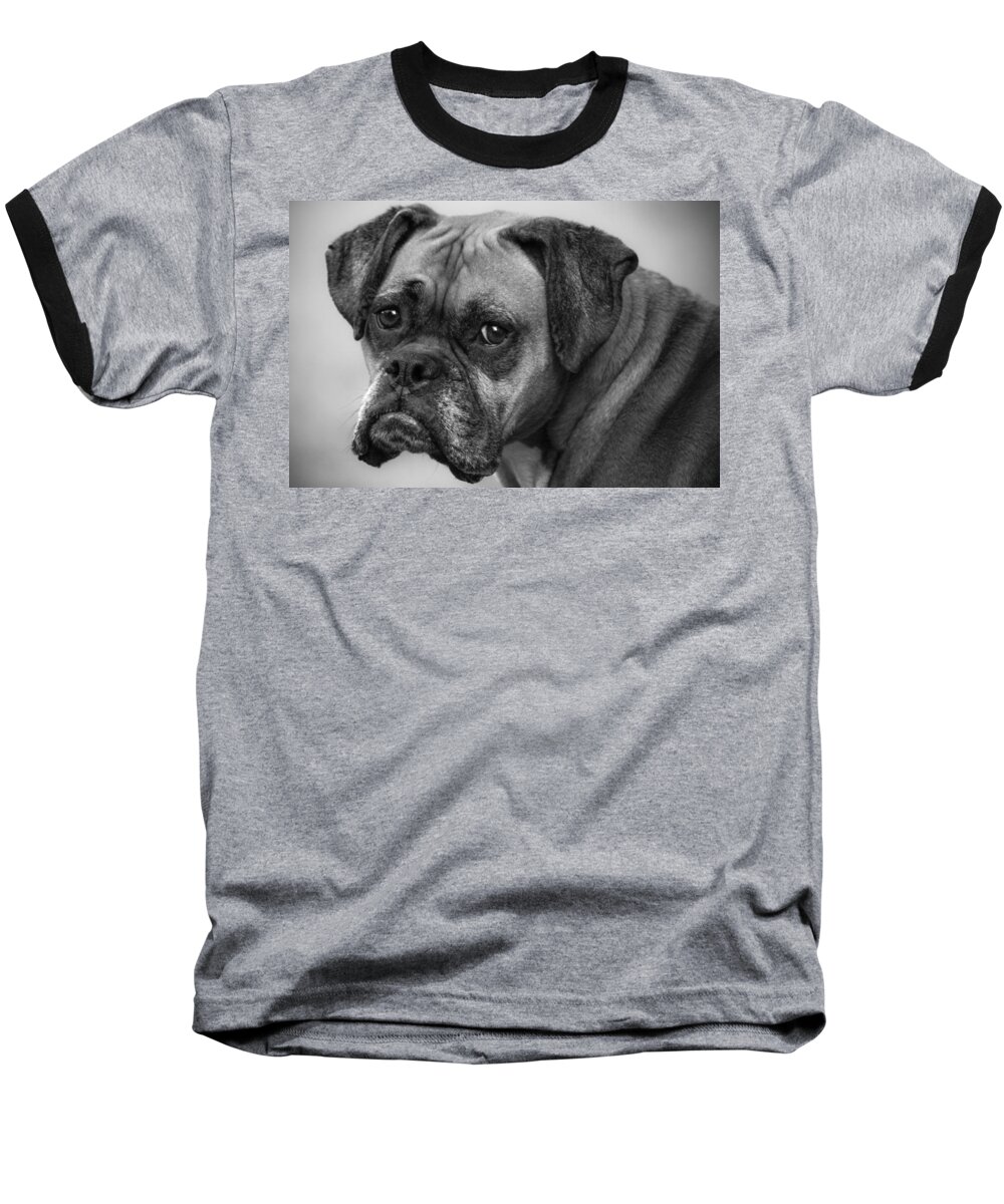 Boxer Baseball T-Shirt featuring the photograph Macy by Jeff Mize