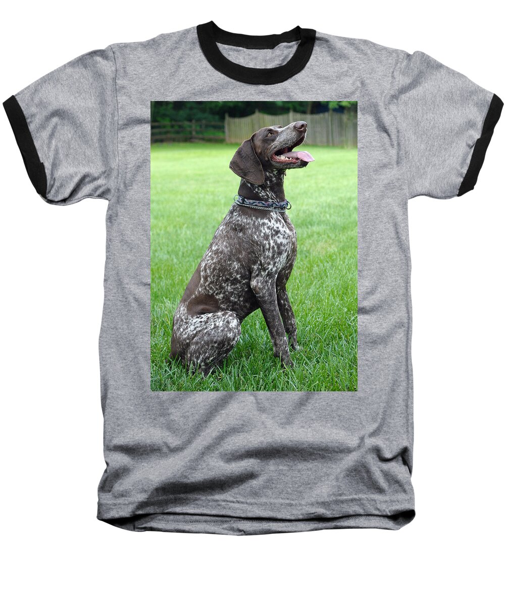 Animals Baseball T-Shirt featuring the photograph Maggie by Lisa Phillips