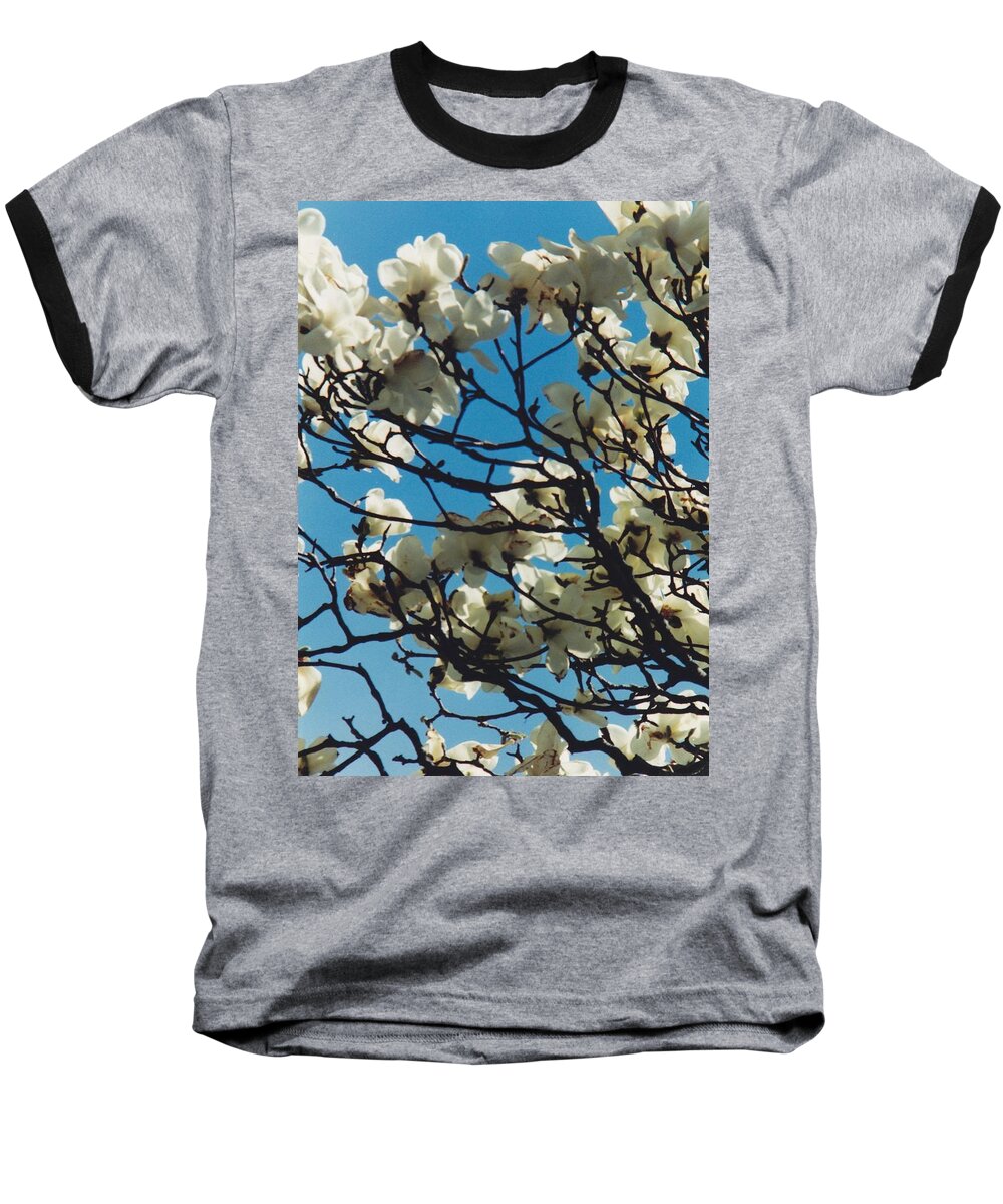 Nature Baseball T-Shirt featuring the photograph Magnolia by Glenn Scano