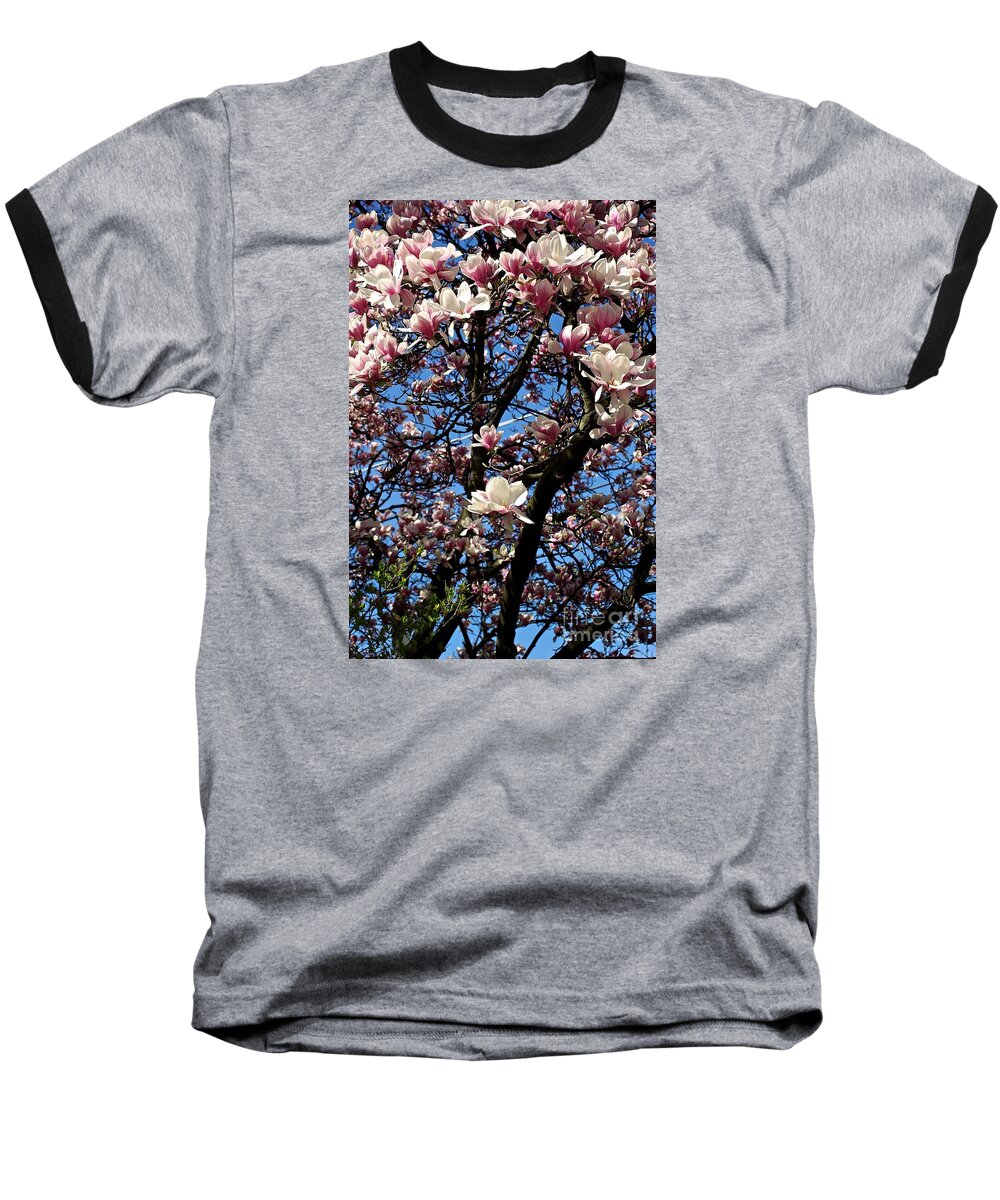 Magnolia Baseball T-Shirt featuring the photograph Magnolias by Frank J Casella