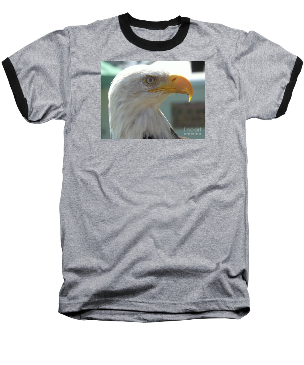 Bald Eagle Baseball T-Shirt featuring the photograph Majestic Icon by Lingfai Leung