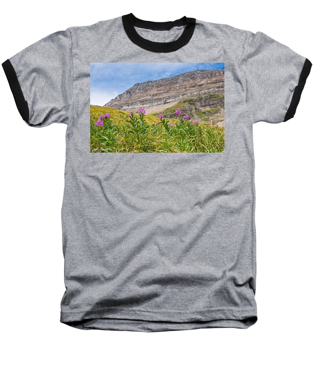 Alpine Baseball T-Shirt featuring the photograph Meadow of Fireweed Below the Continental Divide by Jeff Goulden