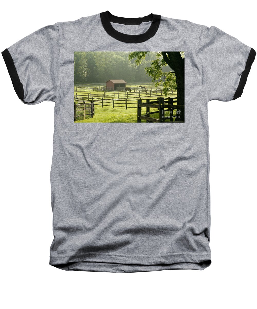 Horses Baseball T-Shirt featuring the photograph Misty Morning Maze by Carol Lynn Coronios