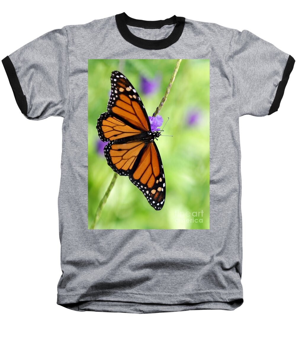 Macro Baseball T-Shirt featuring the photograph Monarch Butterfly in Spring by Sabrina L Ryan