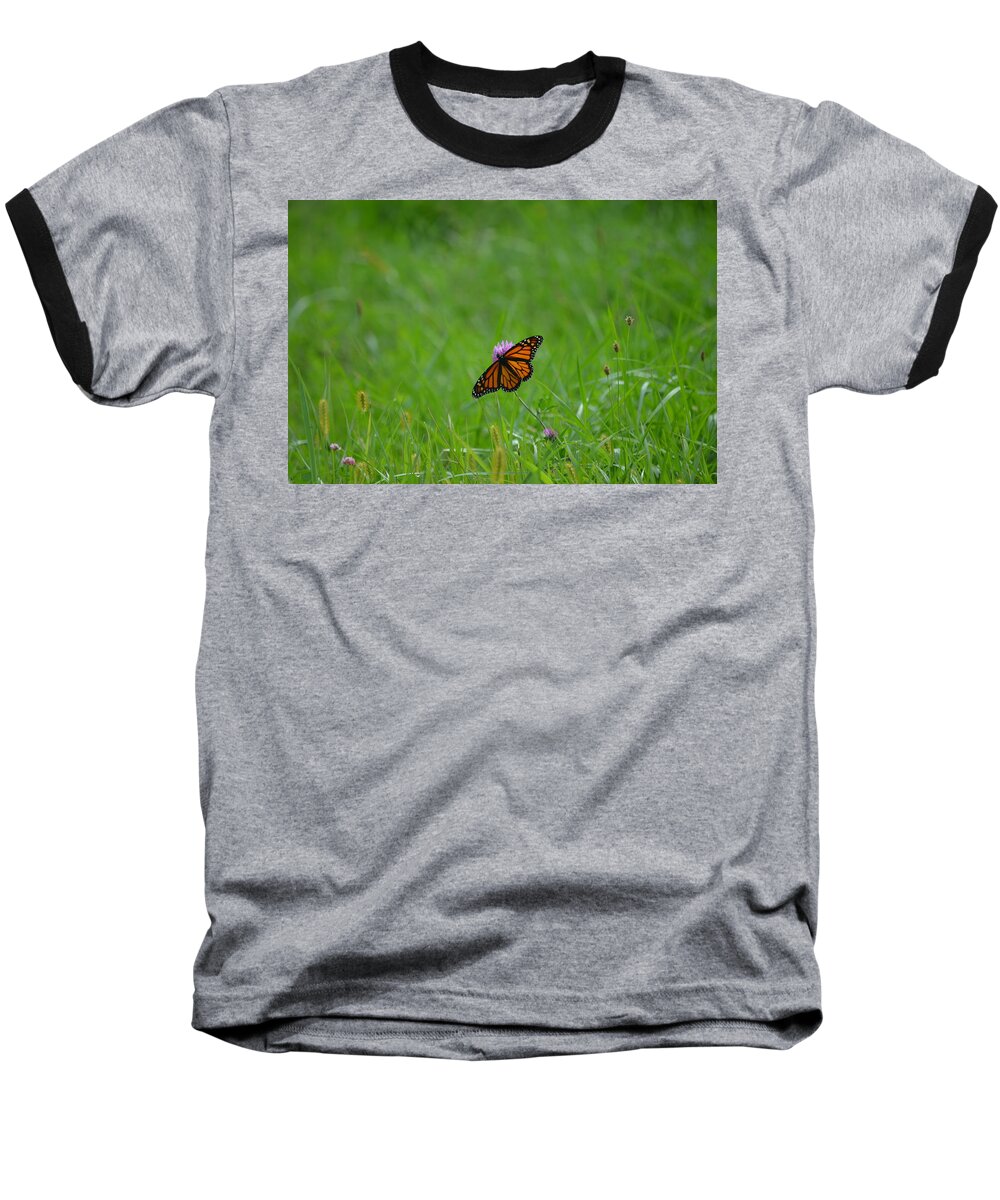 Field Baseball T-Shirt featuring the photograph Monarch Butterfly by James Petersen