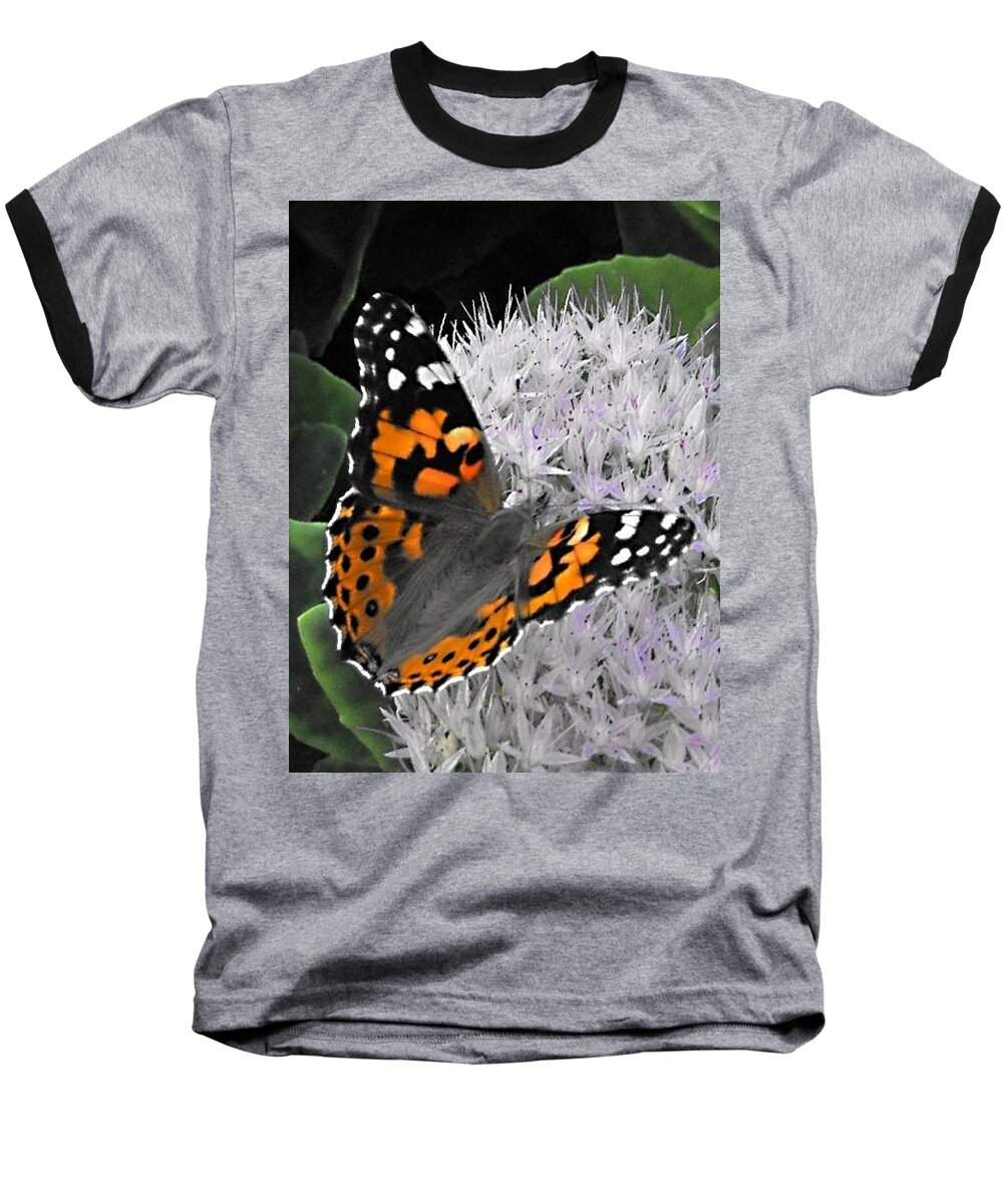 Monarch Baseball T-Shirt featuring the photograph Monarch by Photographic Arts And Design Studio