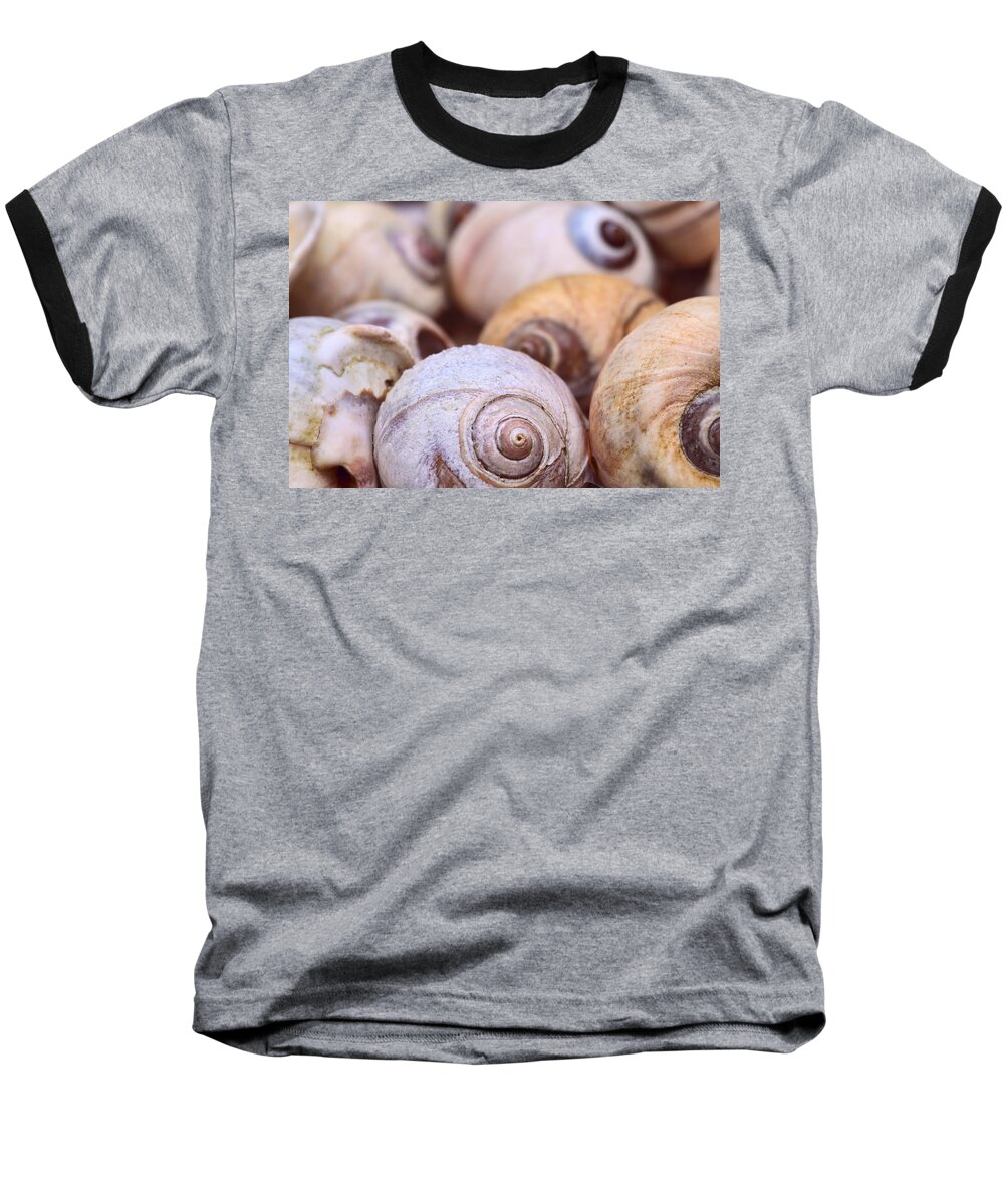 Shells Baseball T-Shirt featuring the photograph Moon Snail Shells by Peggy Collins