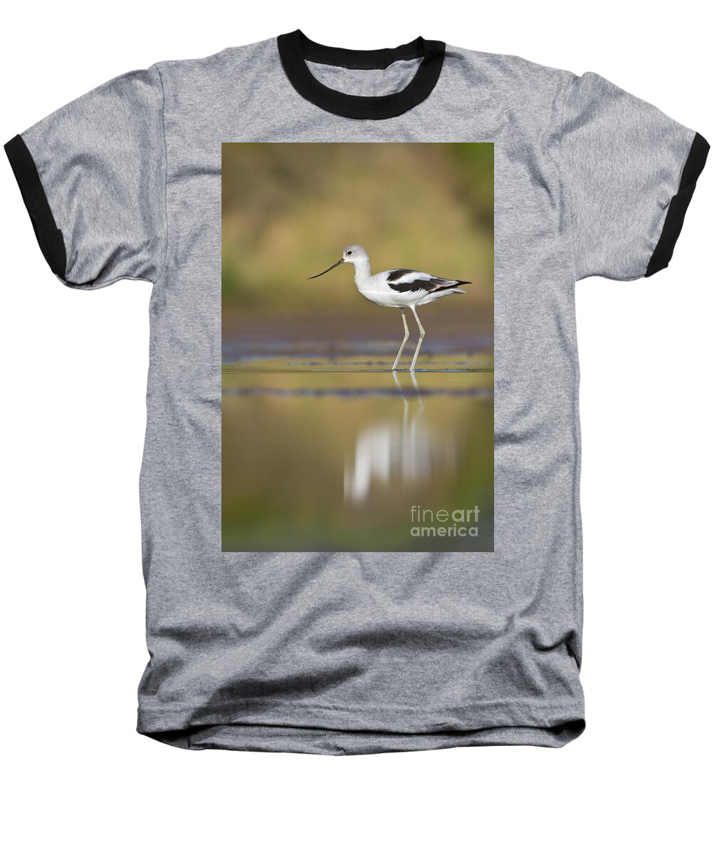 Bird Baseball T-Shirt featuring the photograph Morning Avocet by Bryan Keil