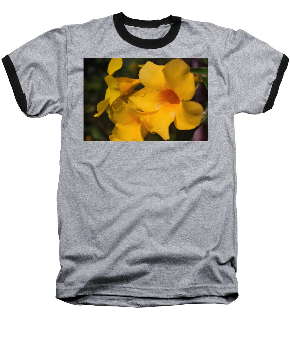 Tropic Flowers Baseball T-Shirt featuring the photograph Morning Delight by Miguel Winterpacht
