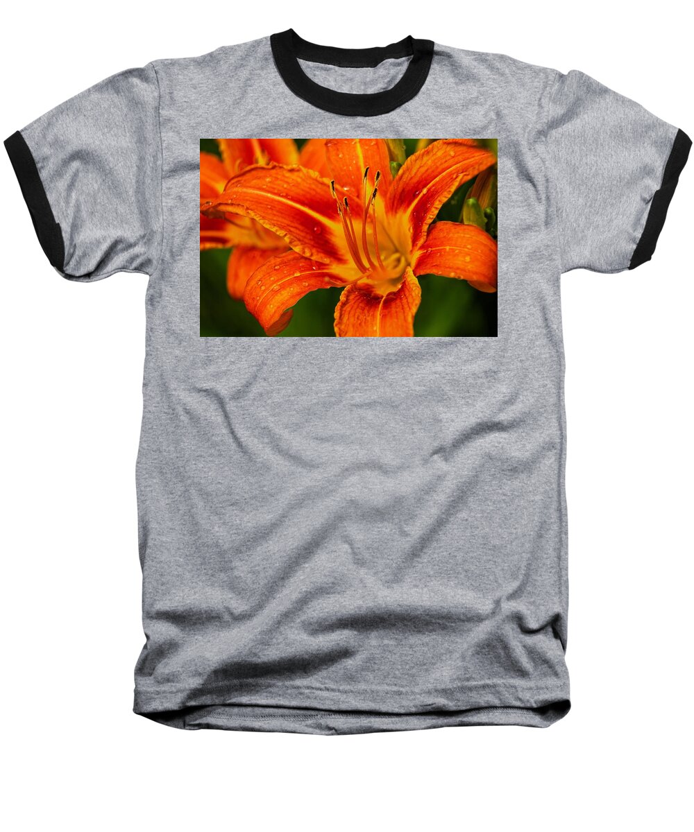 Day Lily Baseball T-Shirt featuring the photograph Morning Dew by Dave Files