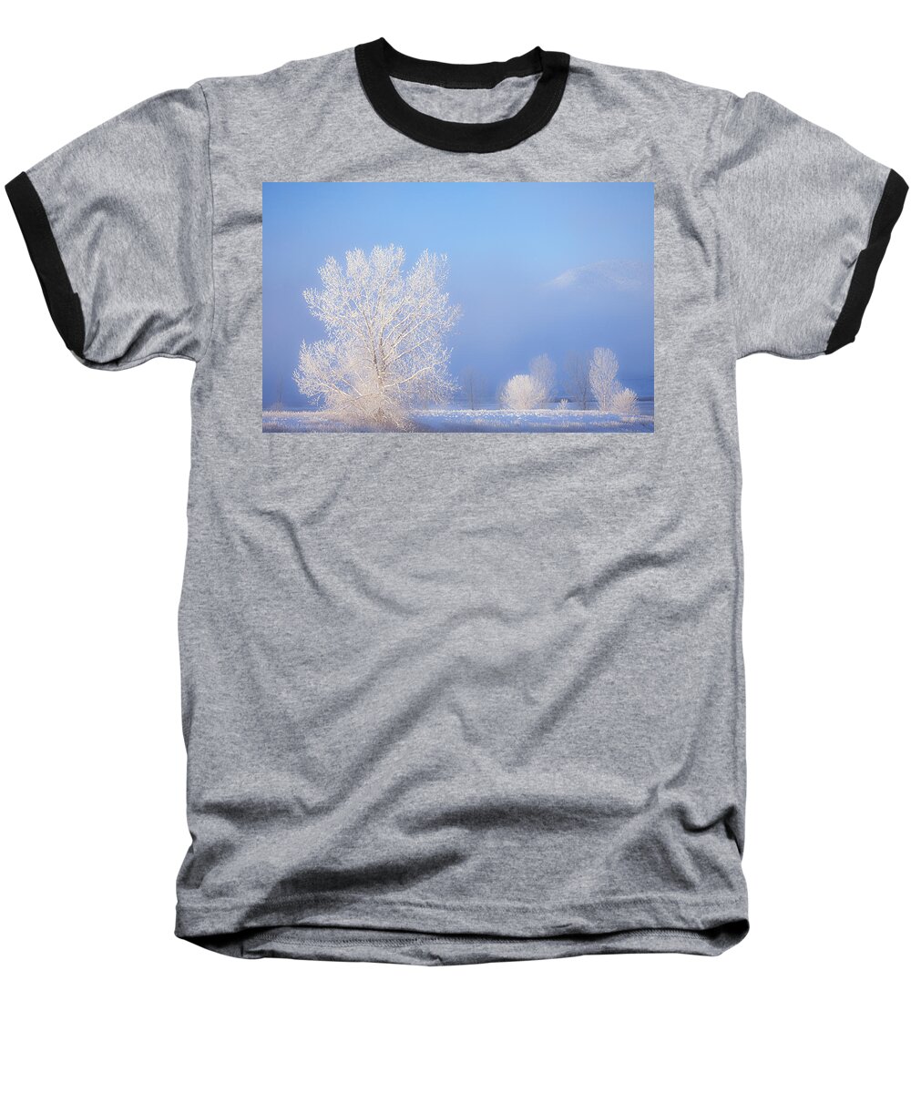 Ice Baseball T-Shirt featuring the photograph Morning Frost by Darren White