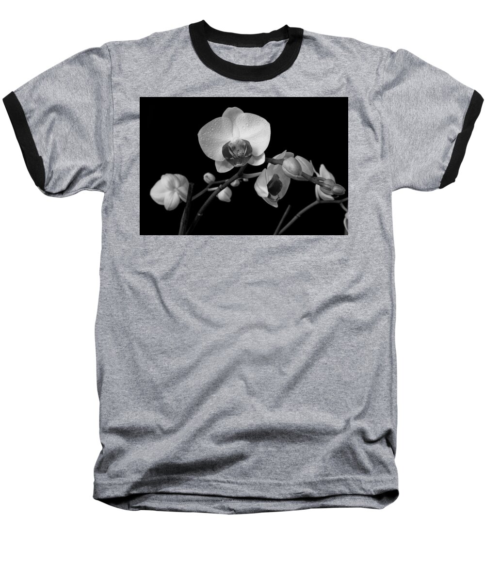 Flower Baseball T-Shirt featuring the photograph Moth Orchids by Ron White