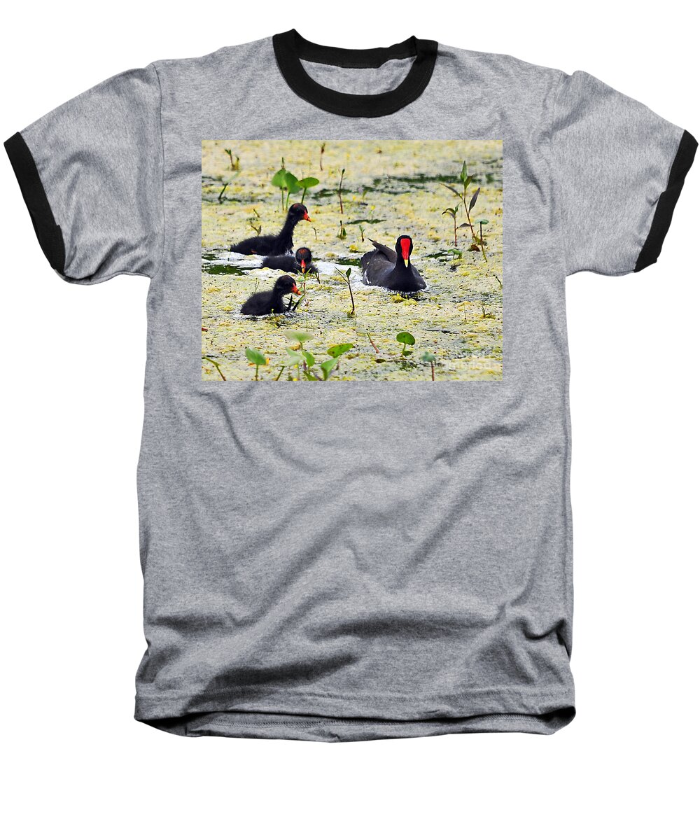 Moorhen Baseball T-Shirt featuring the photograph Mother Moorhen and Bald Babies by Al Powell Photography USA