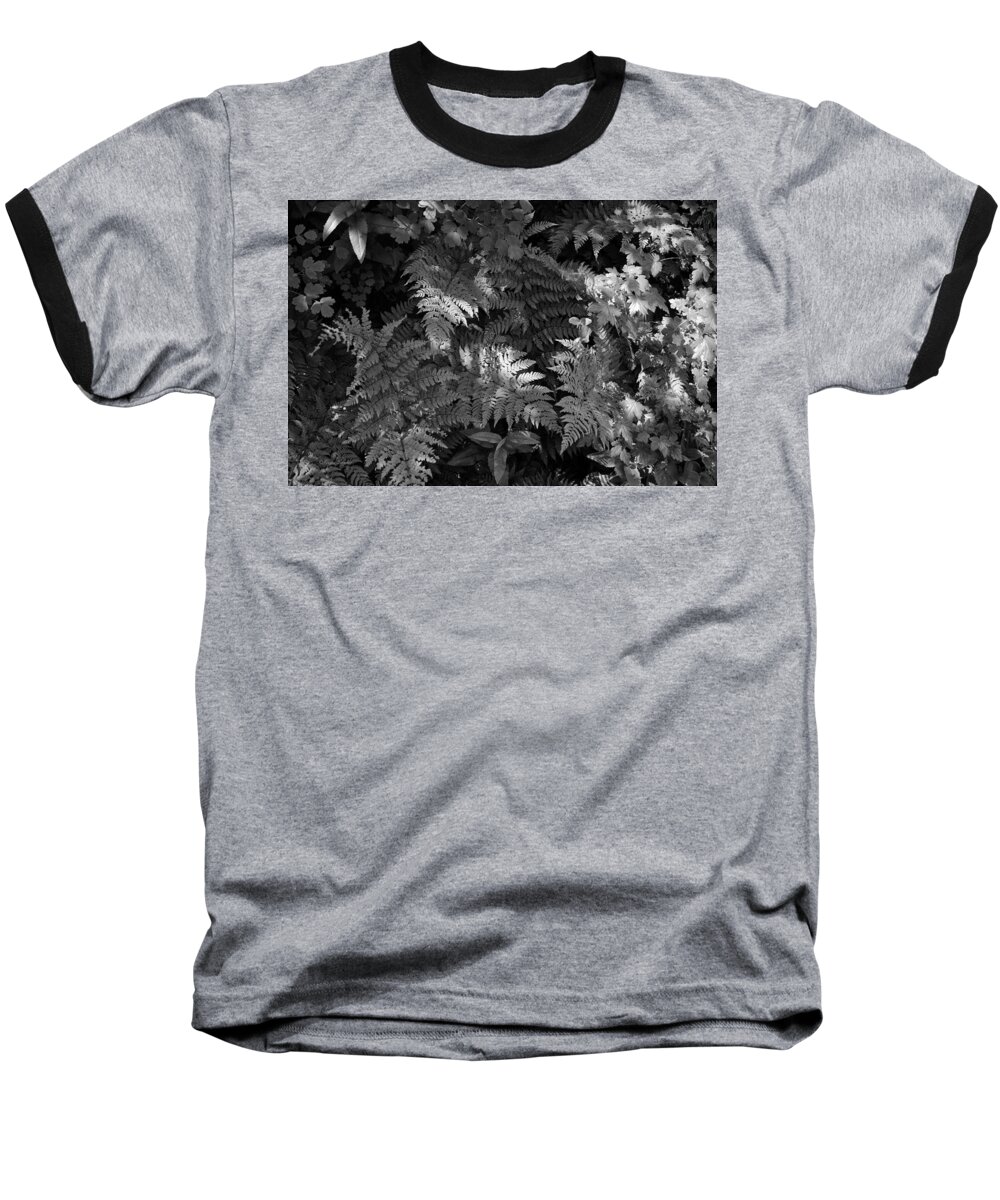 Beautiful Photos Baseball T-Shirt featuring the photograph Mountain Ferns 1 by Roger Snyder