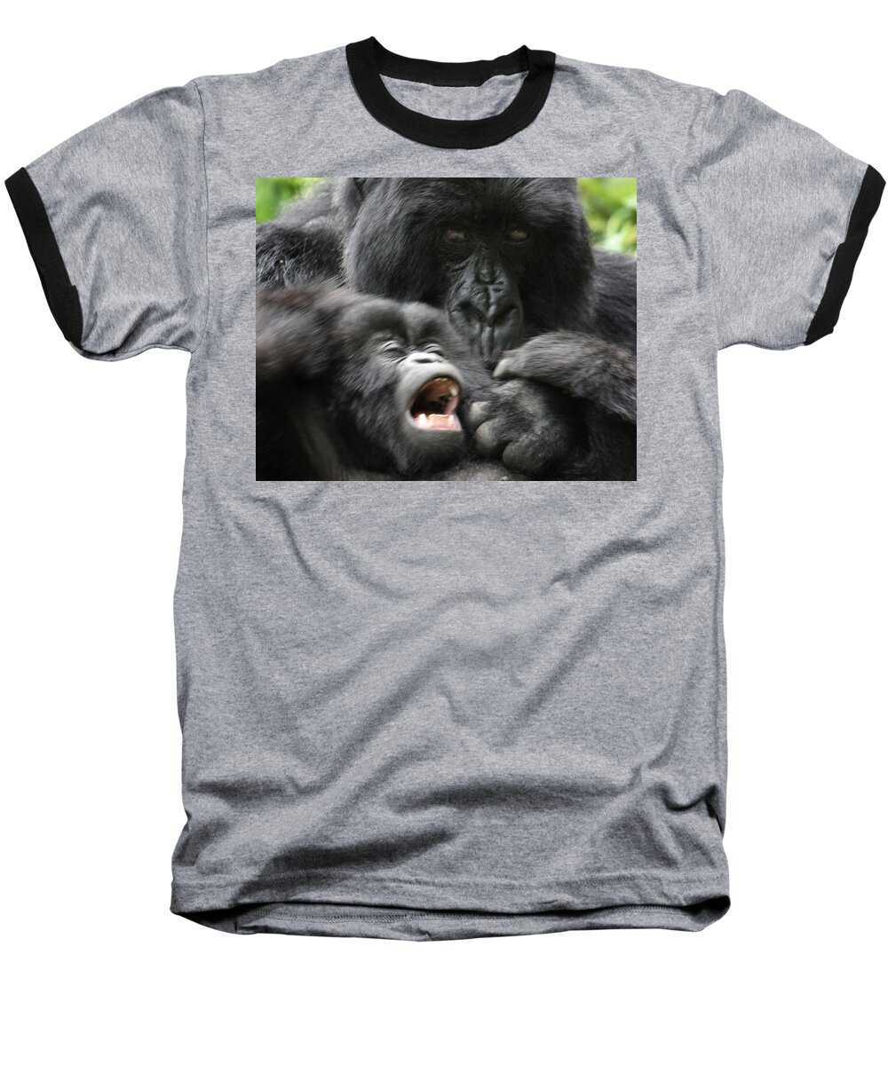 Mountain Gorillas Baseball T-Shirt featuring the photograph Mountain Gorilla ADF2 by David Beebe