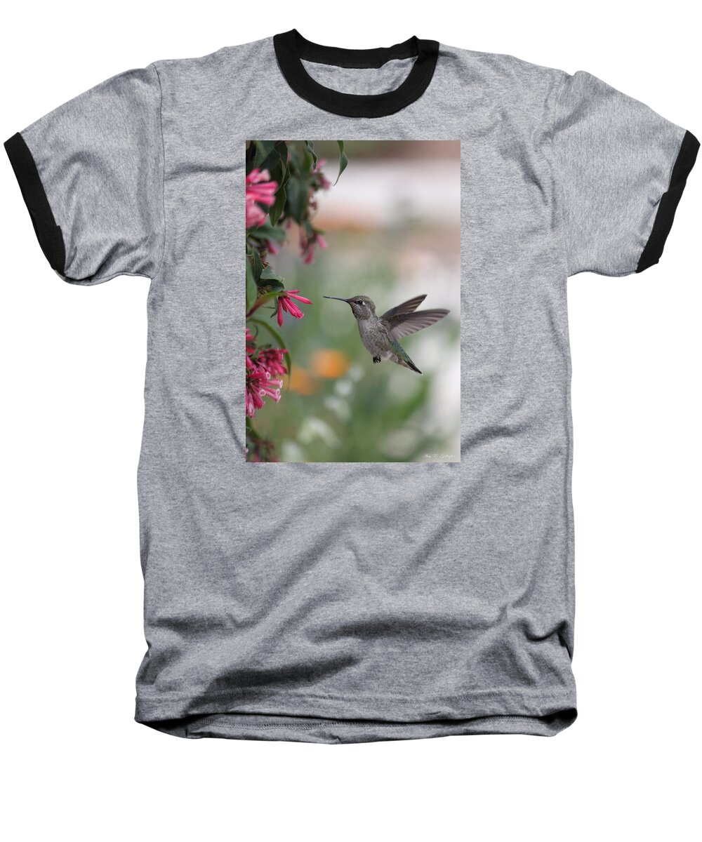 Anna's Hummingbird Baseball T-Shirt featuring the photograph Mrs. Little Anna's Hummingbird by Amy Gallagher