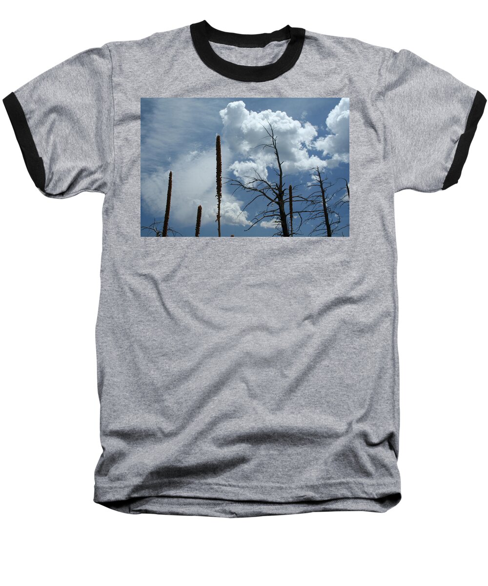 Nature Baseball T-Shirt featuring the photograph Mulling It Over by Ric Bascobert