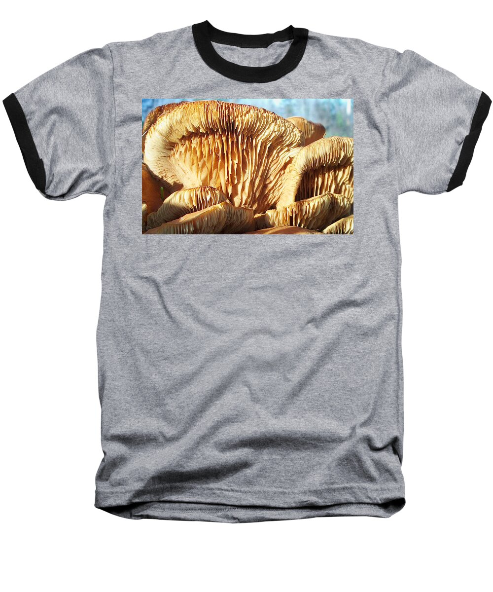 Mushrooms Baseball T-Shirt featuring the photograph Mushrooms by Jan Marvin by Jan Marvin