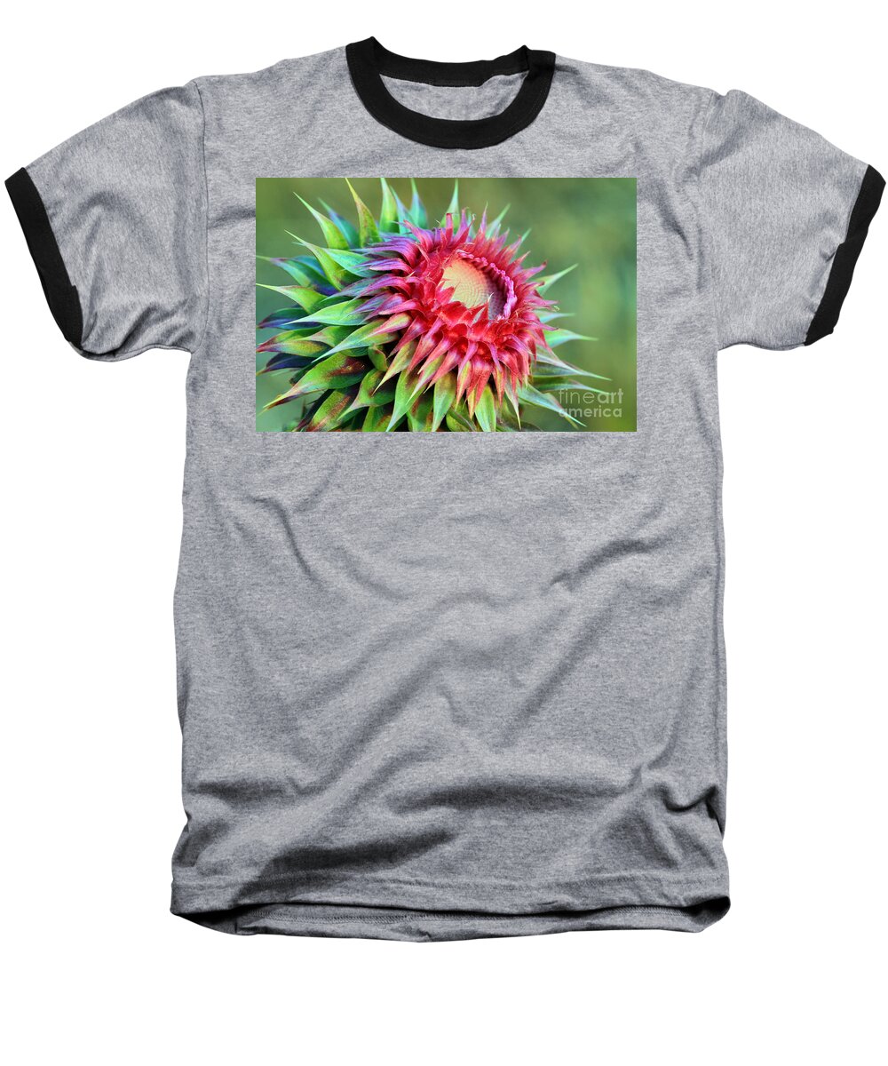 Plant Baseball T-Shirt featuring the photograph Musk Thistle by Teresa Zieba