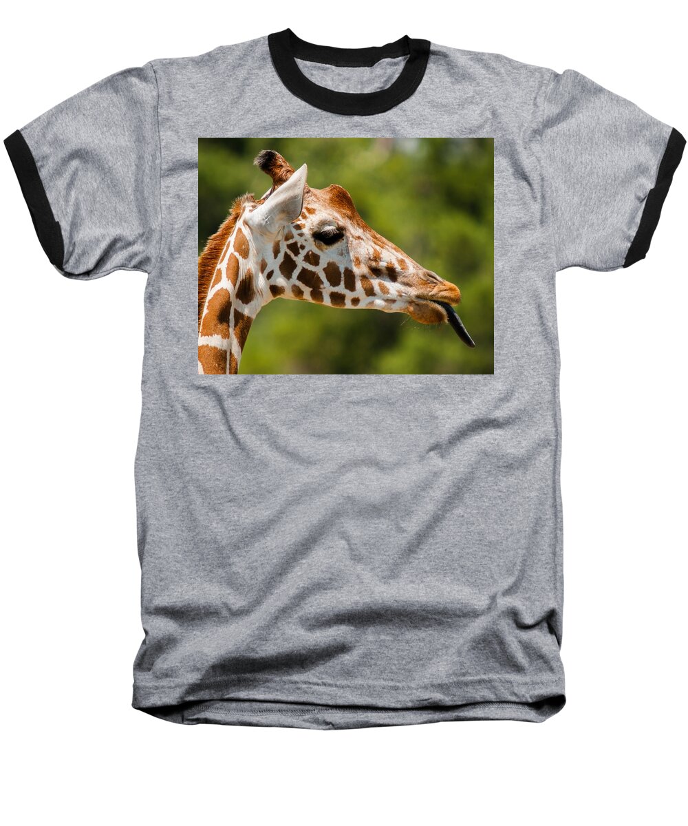 Giraffe Baseball T-Shirt featuring the photograph Nana Nana Boo Boo by Robert L Jackson